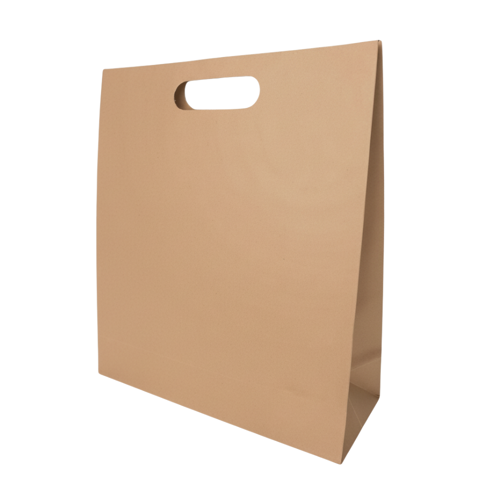 Bolsa De Papel Bk Kraft N°19 con Asa paquete x 25un.