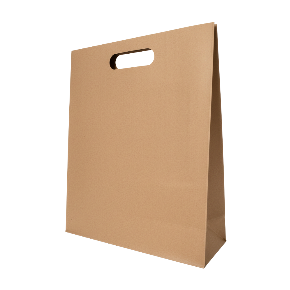 Bolsa De Papel Bk Kraft N°20 con Asa paquete x 25un.