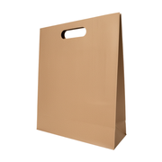 Bolsa De Papel Bk Kraft N°20 con Asa paquete x 6un.