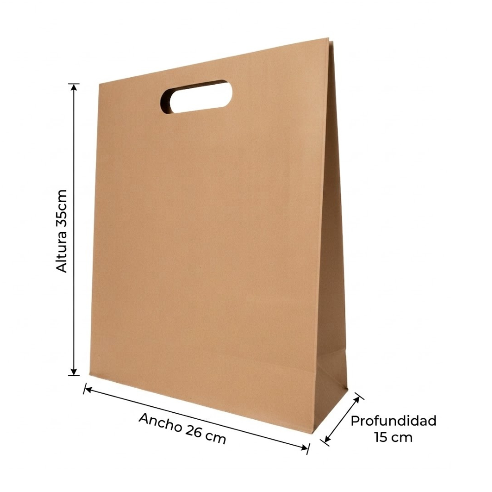 Bolsa De Papel Bk Kraft N°20 con Asa paquete x 25un.