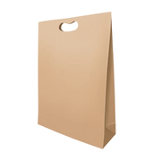 Bolsa De Papel Bk Kraft N°210 con Asa paquete x 25un.