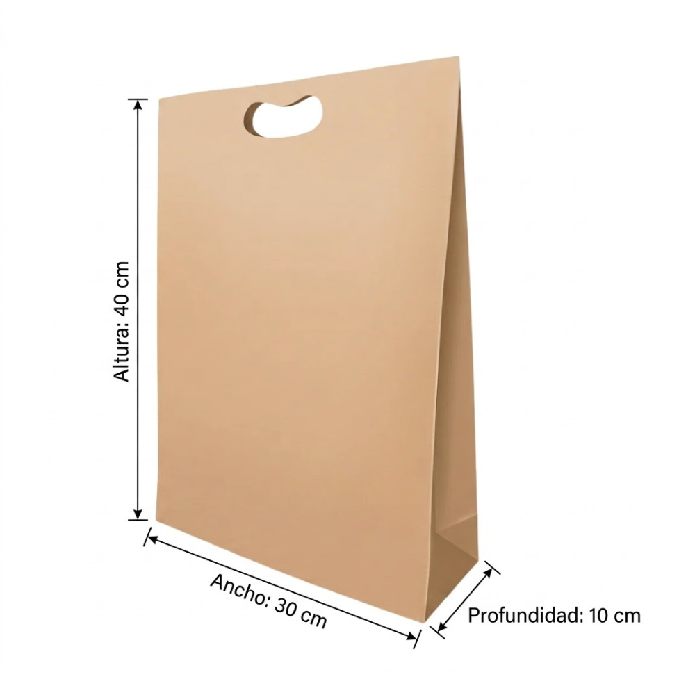 Bolsa De Papel Bk Kraft N°210 con Asa paquete x 25un.