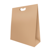 Bolsa De Papel Bk Kraft N°211 con Asa paquete x 25un.