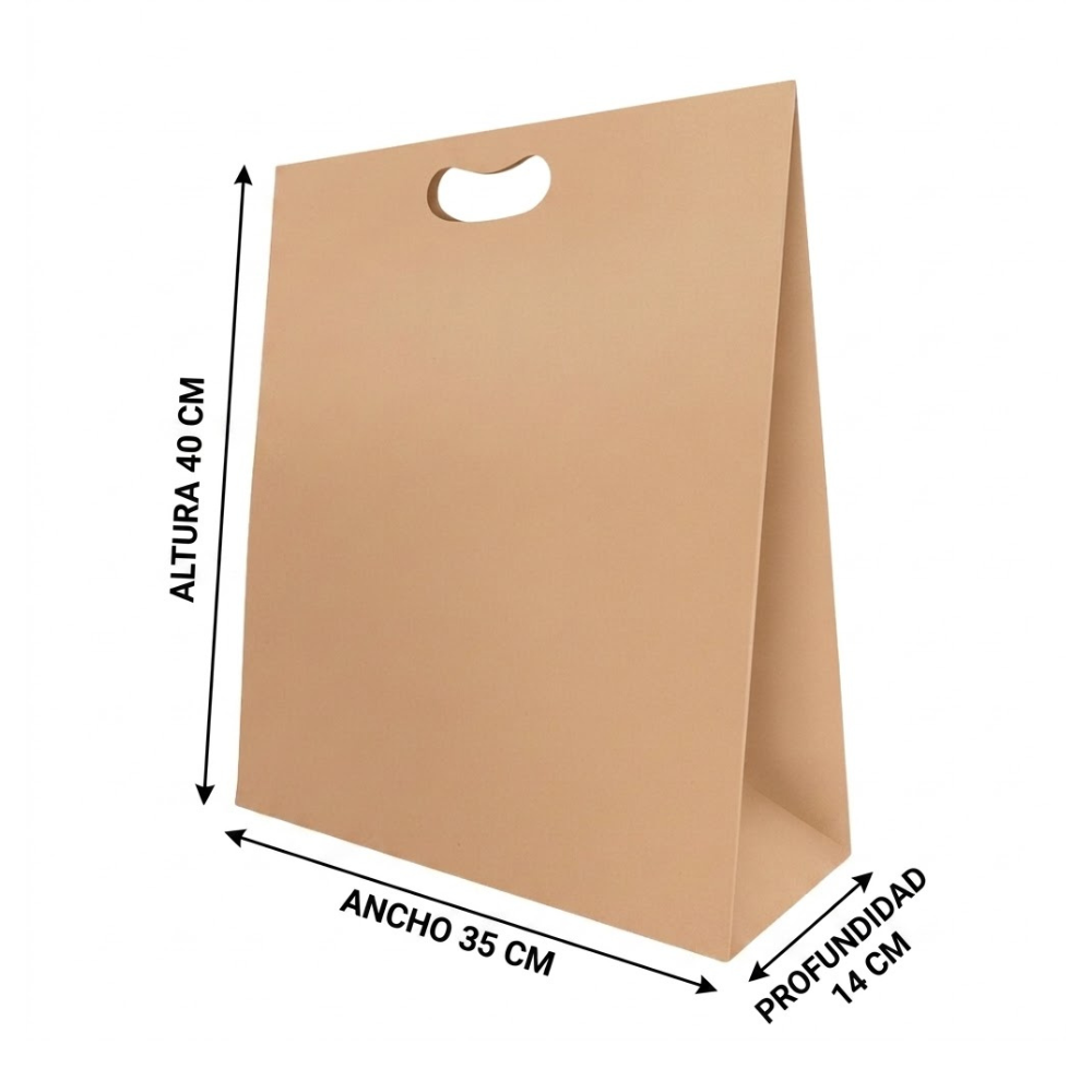 Bolsa De Papel Bk Kraft N°211 con Asa paquete x 25un.