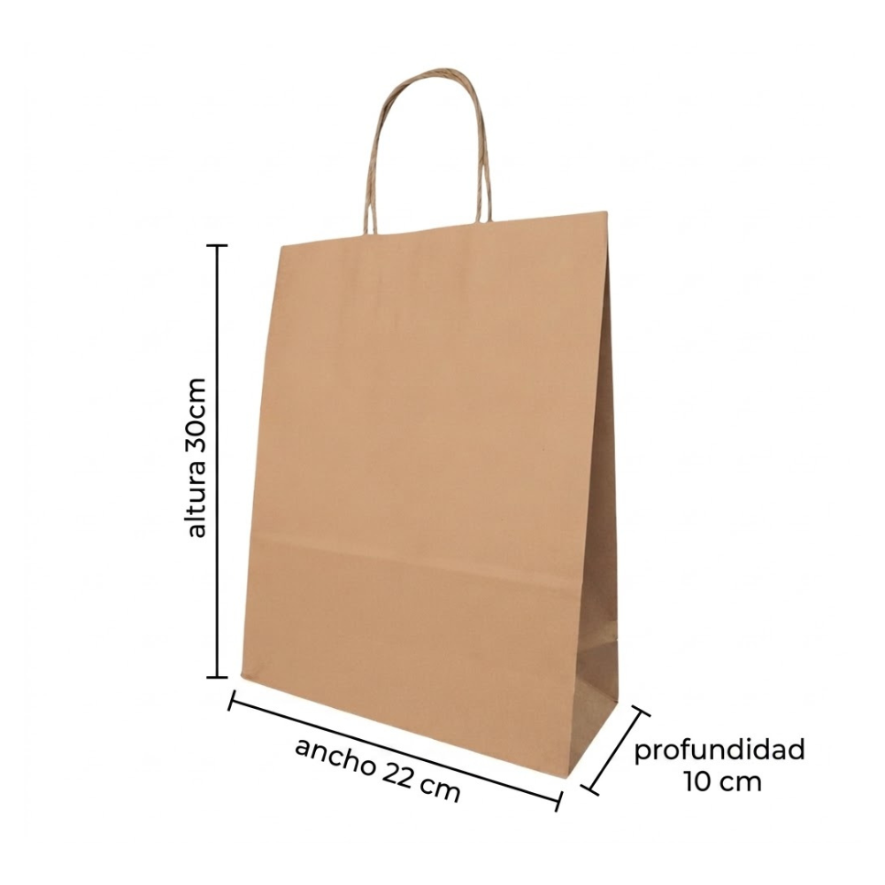 Bolsa De Papel Bk Kraft N°22 con Asa paquete x 25un.