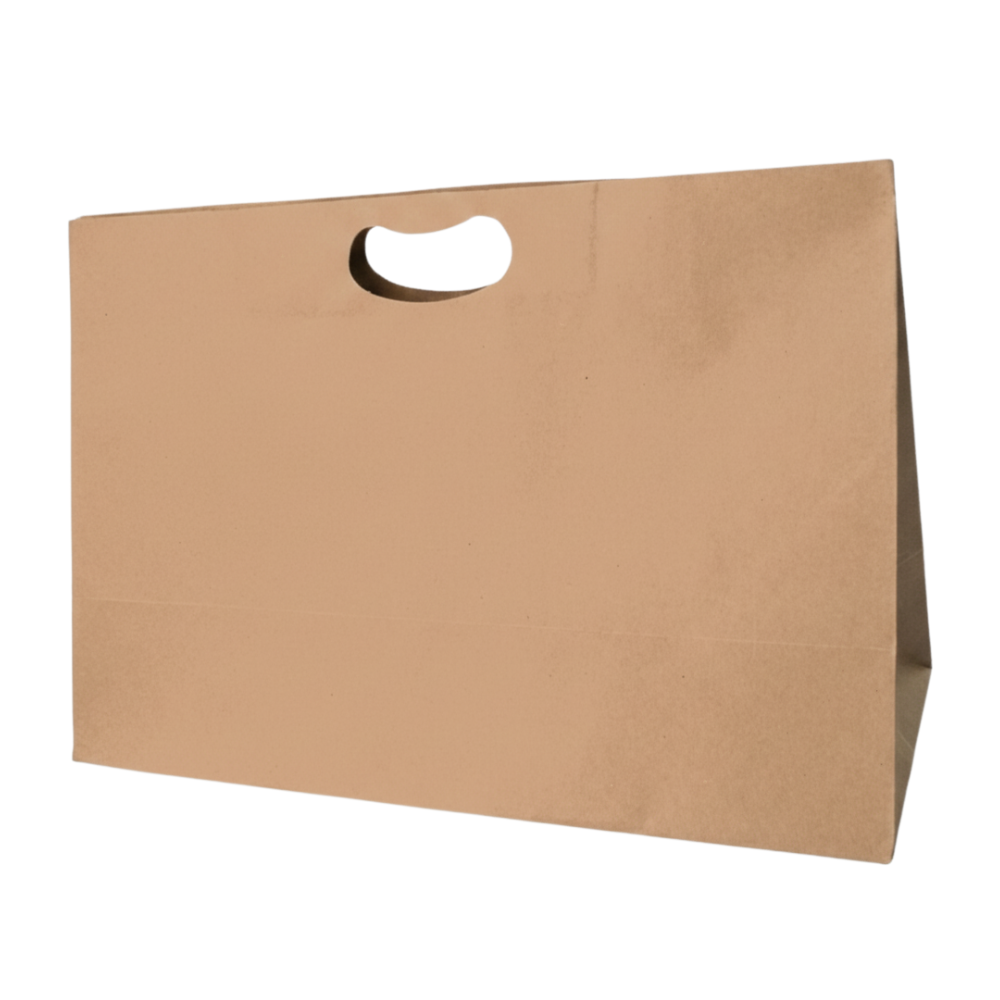 Bolsa De Papel Bk Kraft N°29 con Asa paquete x 25un.