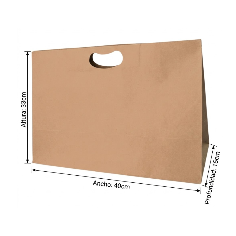 Bolsa De Papel Bk Kraft N°29 con Asa paquete x 25un.