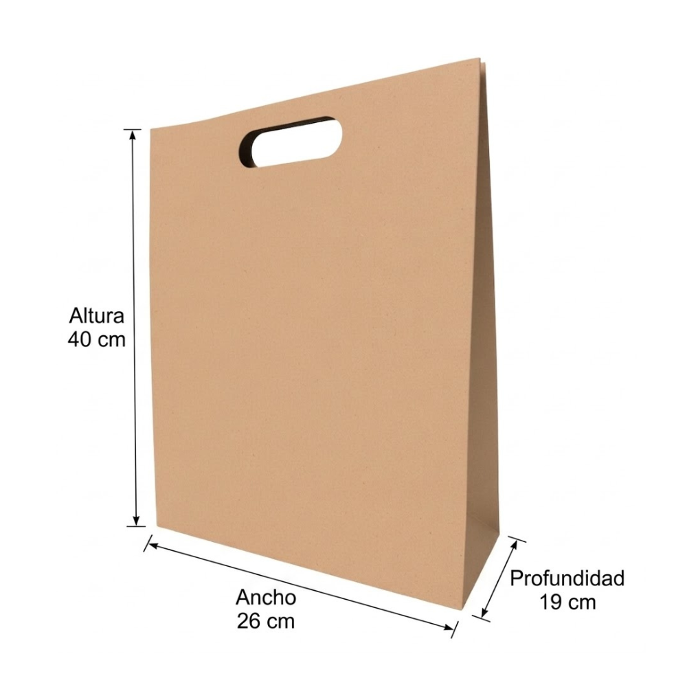 Bolsa De Papel Bk Kraft N°39 con Asa paquete x 25un.