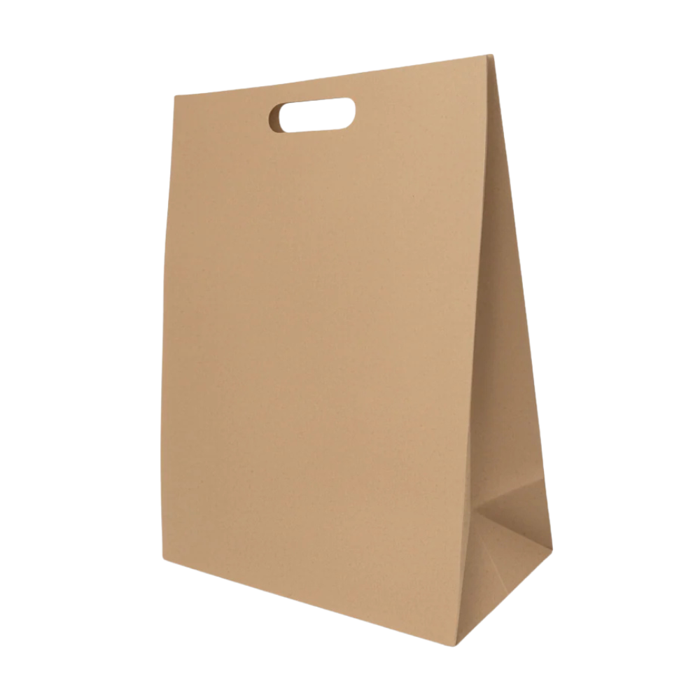 Bolsa De Papel Bk Kraft N°47 con Asa paquete x 25un.