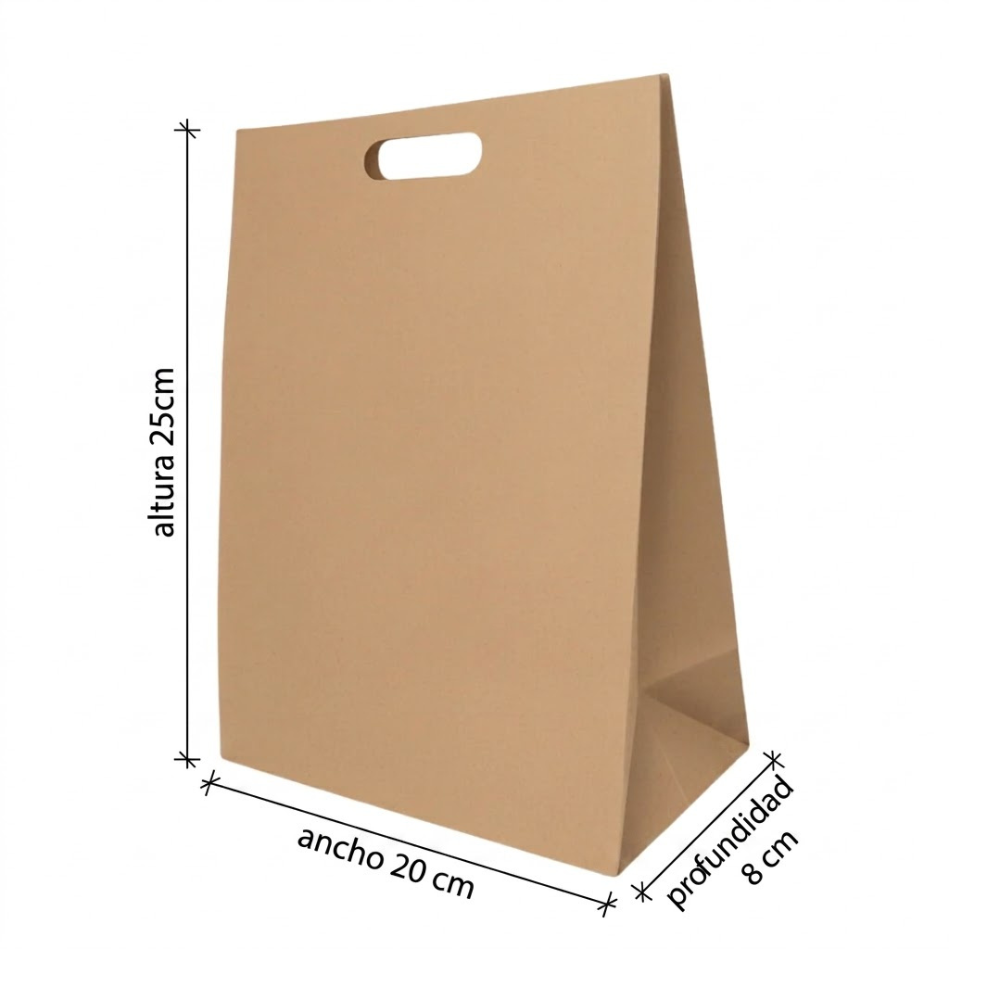 Bolsa De Papel Bk Kraft N°47 con Asa paquete x 25un.