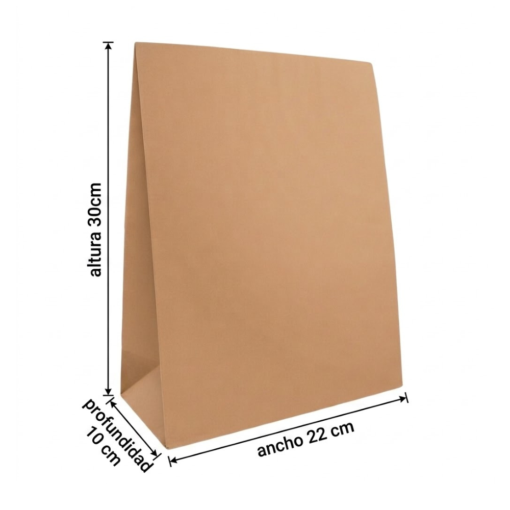 Bolsa De Papel Kraft N°22X10X30 Paquete x 25un.
