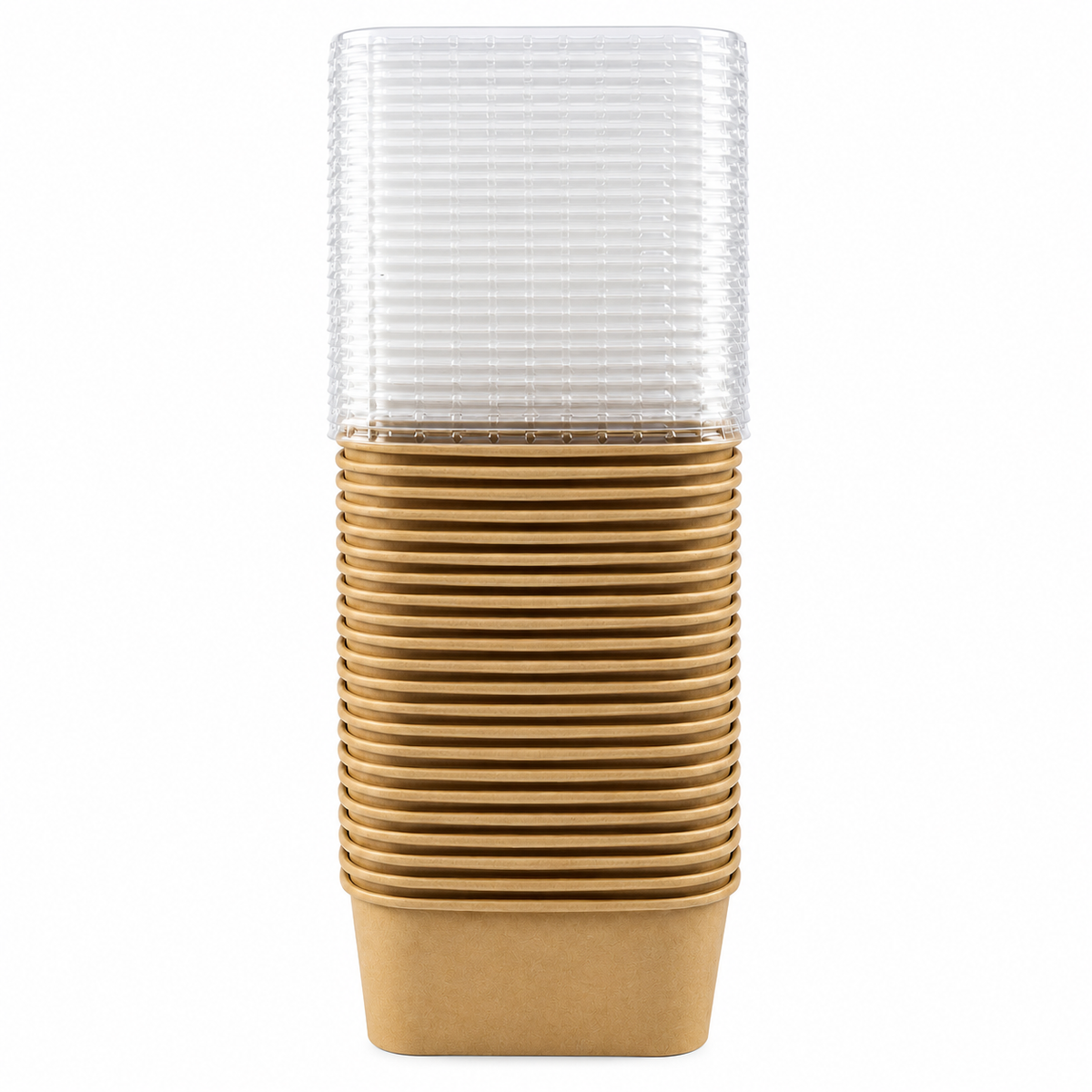 Contenedor Rectangular Fibra de Bambú Kraft 880 ml con Tapa Pet Paquete x 25 un.